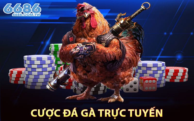 Cược đá gà trực tuyến